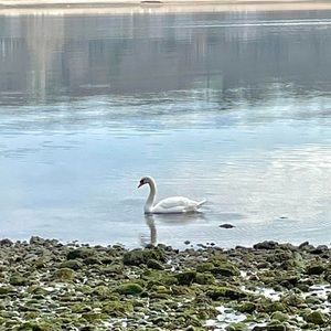 Meet your Posher, Janet